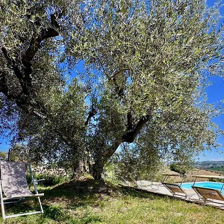 Lantställe Casale Casini Soccorso