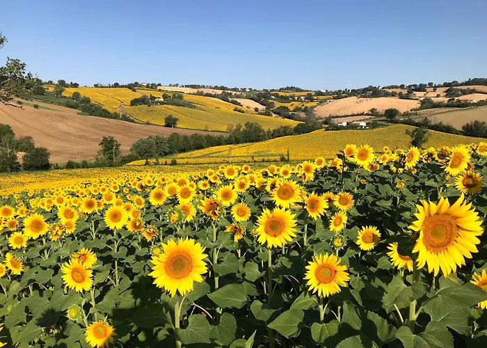 Lantställe Casale Casini Soccorso, Residenza Di Campagna